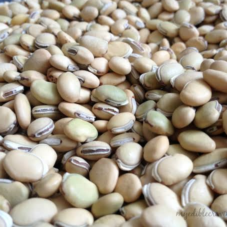 Mocchai /மொச்சை 250gm